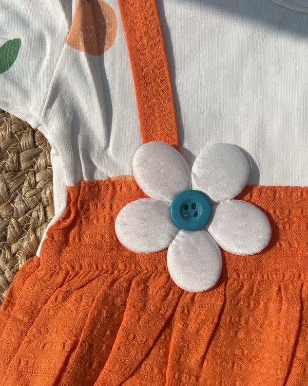 Daisy Bloom Baby Frock 🌼