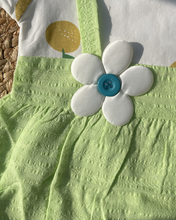 Little Leaf Baby Frock