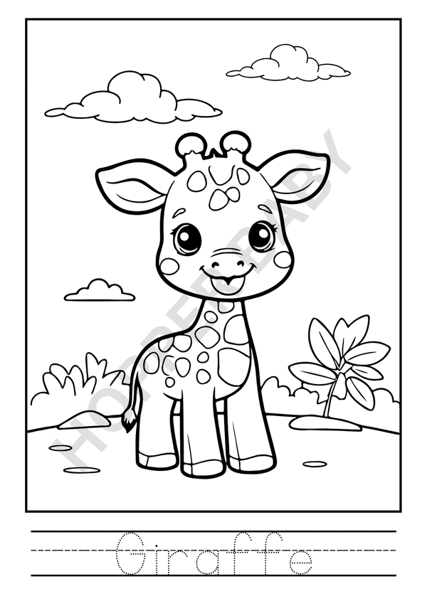 Wild Animal Colouring Book