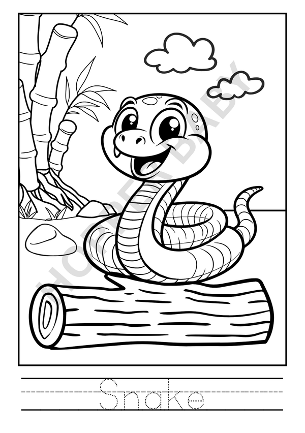Wild Animal Colouring Book