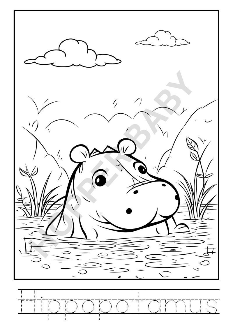 Wild Animal Colouring Book