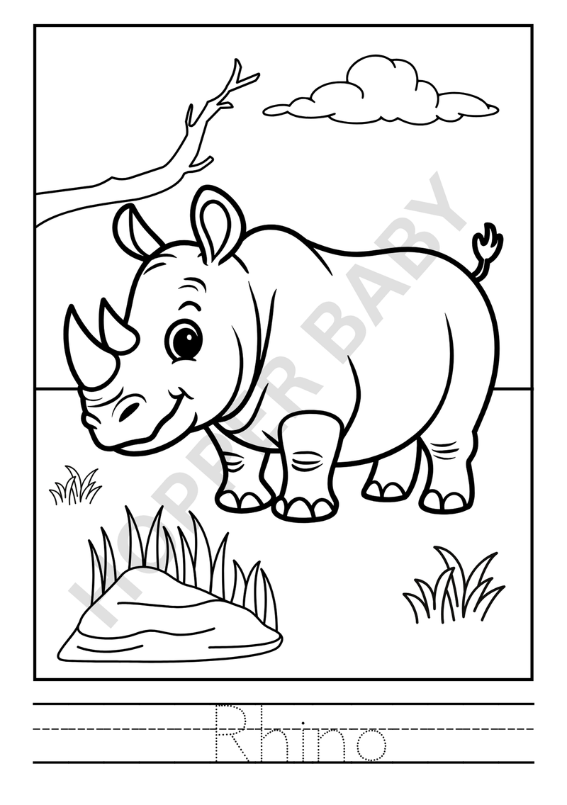 Wild Animal Colouring Book