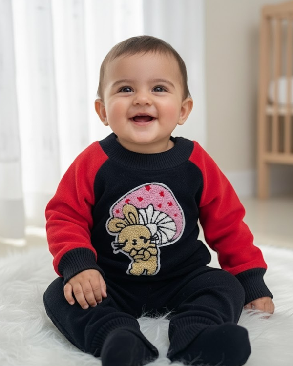 Full Sleeves Sweater Set