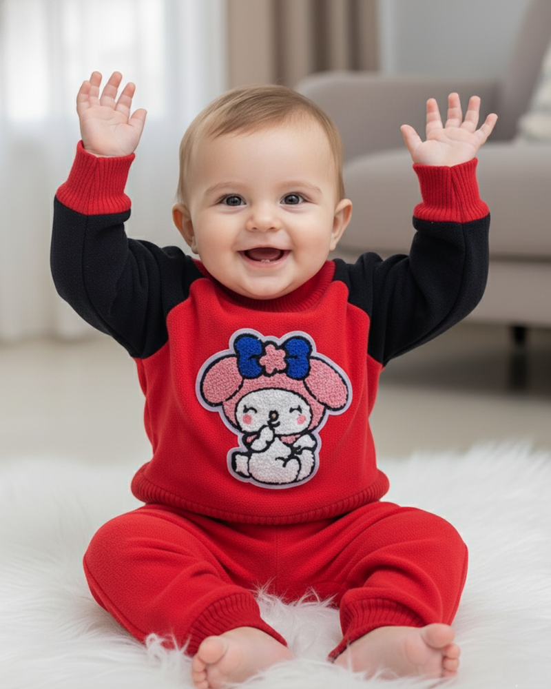 Full Sleeves Sweater Set