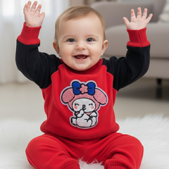 Full Sleeves Sweater Set