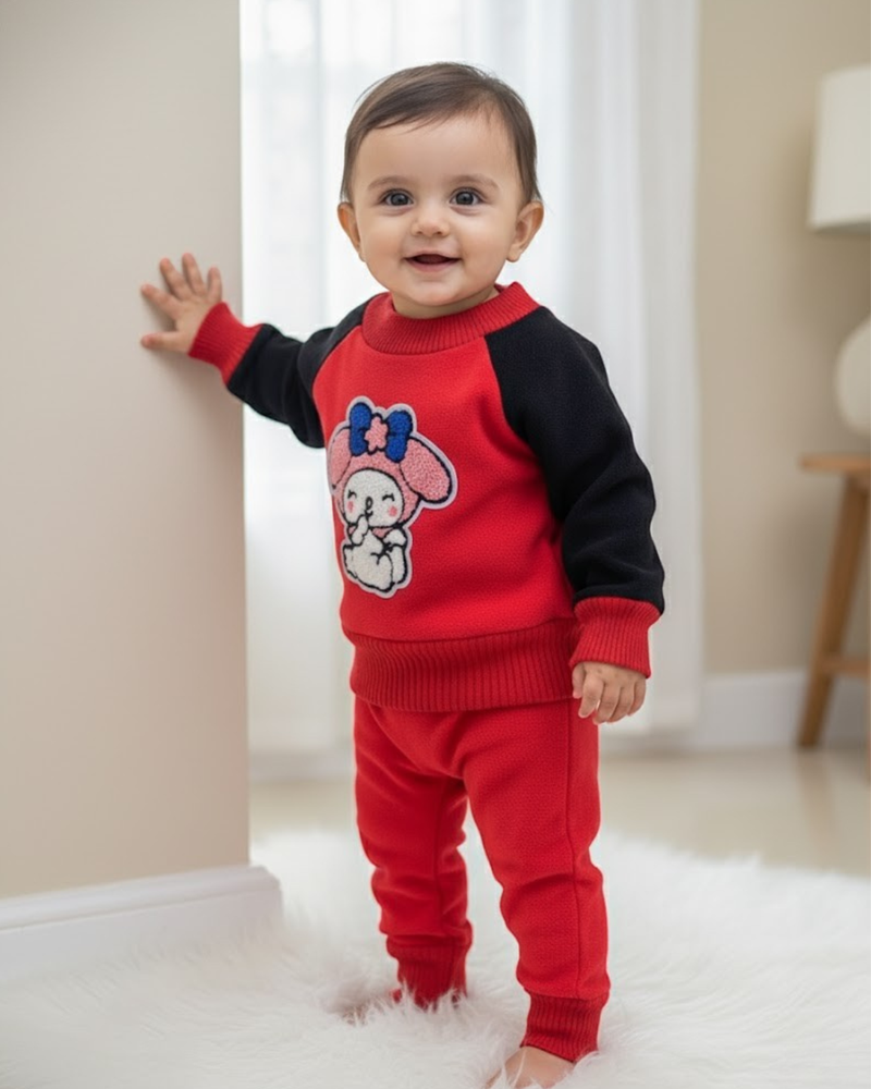 Full Sleeves Sweater Set