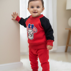 Full Sleeves Sweater Set