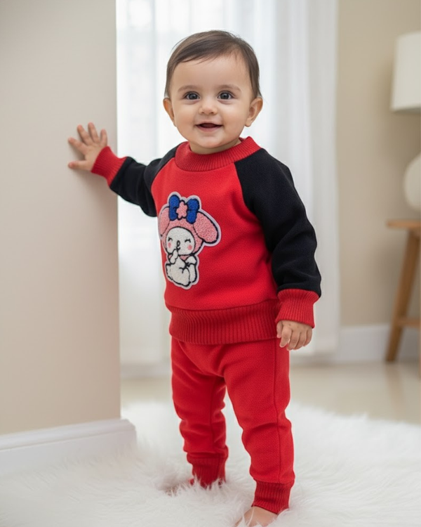 Full Sleeves Sweater Set