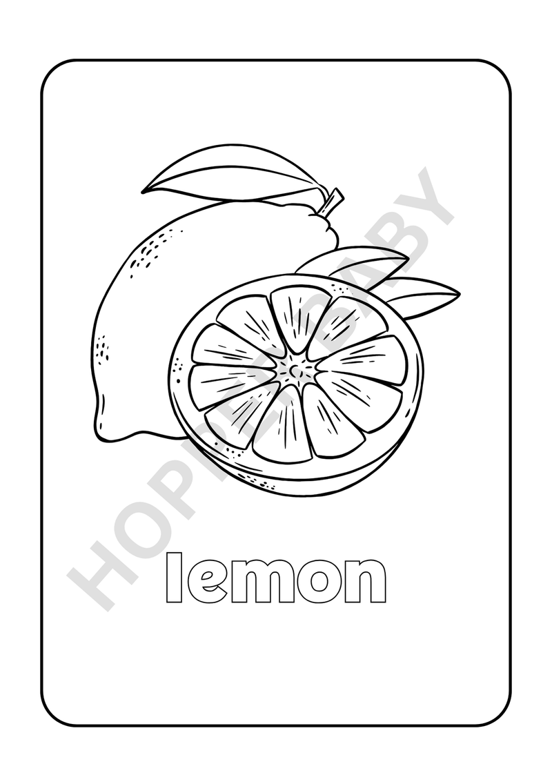 🦄 Yummy Fruit Coloring Book