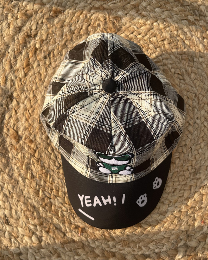 Play Mode Cool Teddy Cap